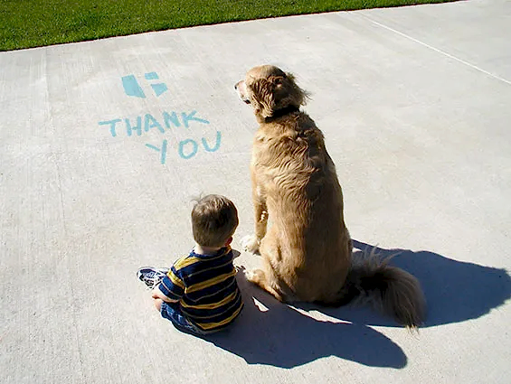 concrete leveling and coatings company