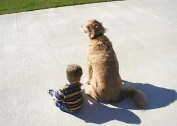 Dog and child sitting on freshly raised concrete